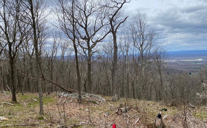 Pictures of Land property located at Woodmont Road, East Fishkill, NY 12533 for sales - image #1