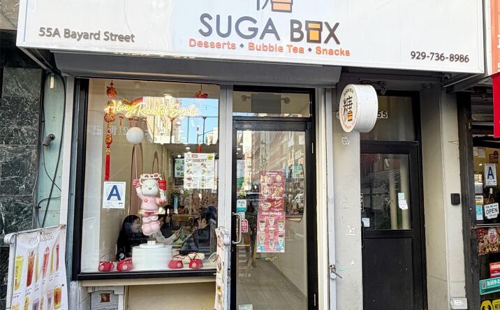 Pictures of Business for Sale, Retail property located at 55A Bayard St, New York, NY 10013 for sales - image #1