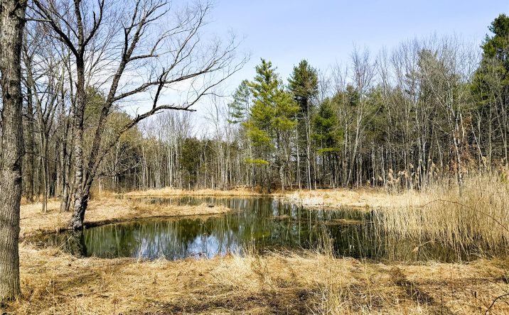 Pictures of Land, Special Purpose property located at Tbd Frank Hitchcock Road, Cairo, NY 12413 for sales - image #1