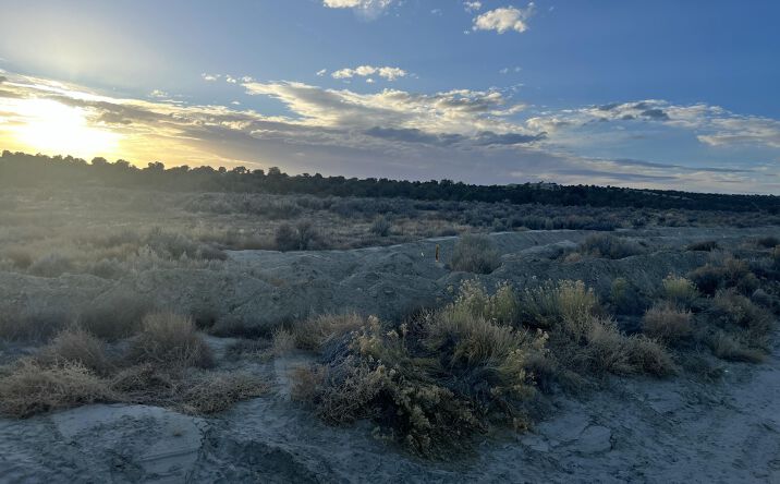 Pictures of Land property located at XX ROAD 3536, Flora Vista, NM 87415 for sales - image #1