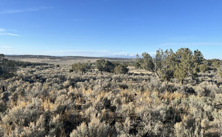 Pictures of Land property located at XX ROAD 3095, Aztec, NM 87410 for sales - image #1