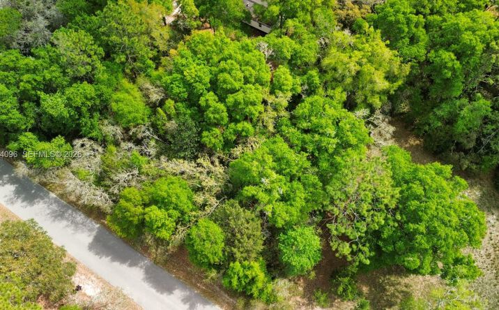 Pictures of Land property located at Lot 29 Nw 120th Ave, Ocala, FL 34482 for sales - image #1