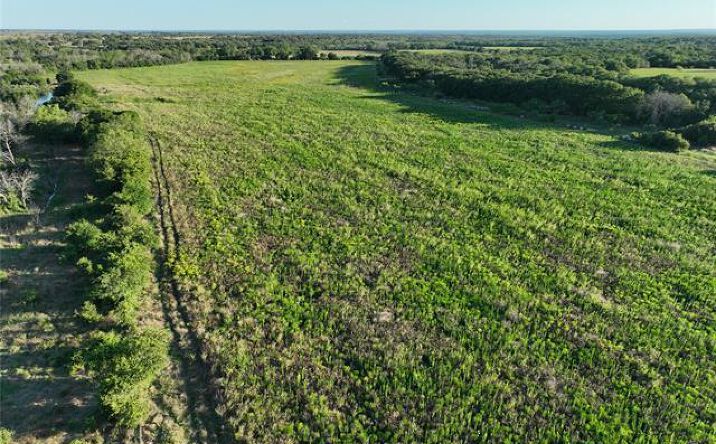 Pictures of Land property located at TBD CR 137, Carlton, TX 76436 for sales - image #1