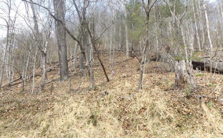 Pictures of Land property located at TBD South Main St., Galax, VA 24333 for sales - image #1