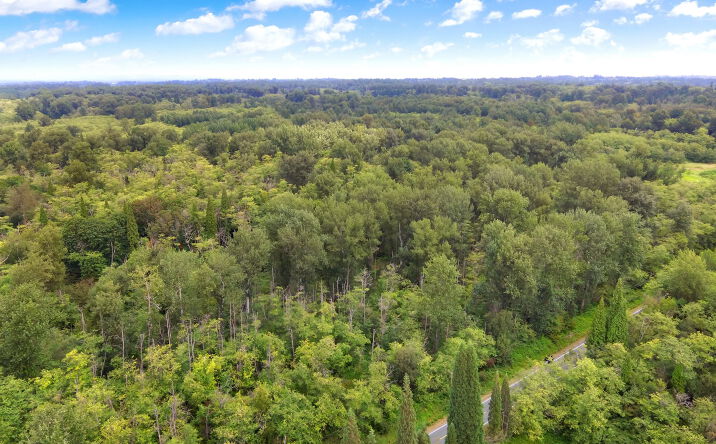 Pictures of Land property located at 000 Henry Road, Blaine, WA 98248 for sales - image #1