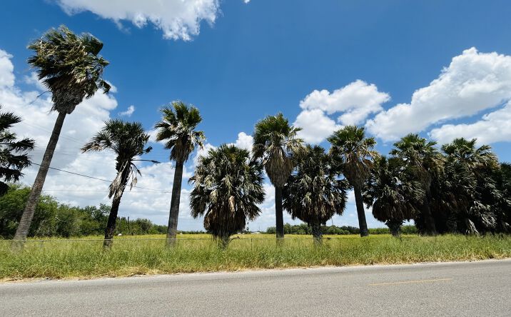 Pictures of Land property located at 0000 N Taylor Rd, McAllen, TX 78504 for sales - image #1