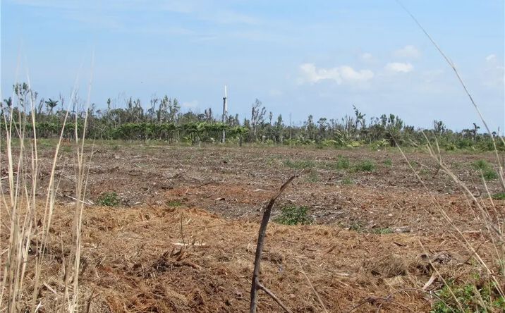 Pictures of Land property located at 13350 Stringfellow Rd, Bokeelia, FL 33922 for sales - image #1
