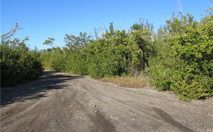 Pictures of Land property located at 13686 Ficus Tree Ln, Bokeelia, FL 33922 for sales - image #1