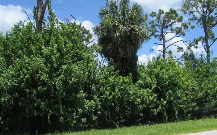 Pictures of Land property located at 3644 Tropical Point Dr, Saint James City, FL 33956 for sales - image #1