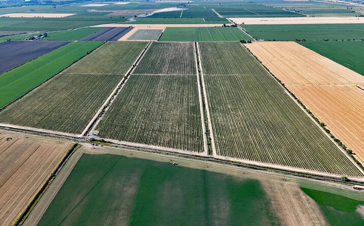 Pictures of Land property located at N Courtland Rd, Clarksburg, CA 95612 for sales - image #1