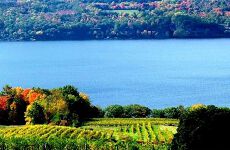 31488461