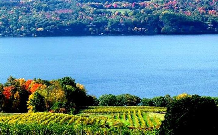 Pictures of Retail, Multifamily, Hospitality, Mixed Use, Land property located at 4966 NY-414, Burdett, NY 14818 for sales - image #1