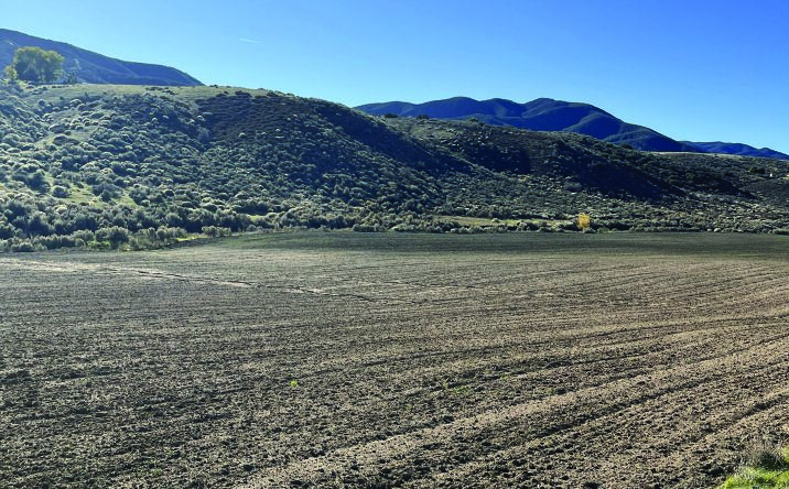 Pictures of Land property located at Elizabeth Lake Rd, Leona Valley, CA 93551 for sales - image #1