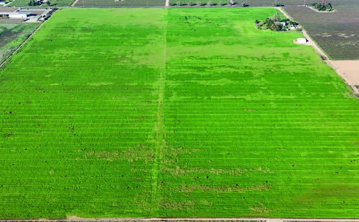 Pictures of Land property located at 3454 East Peltier Road, Acampo, CA 95220 for sales - image #1