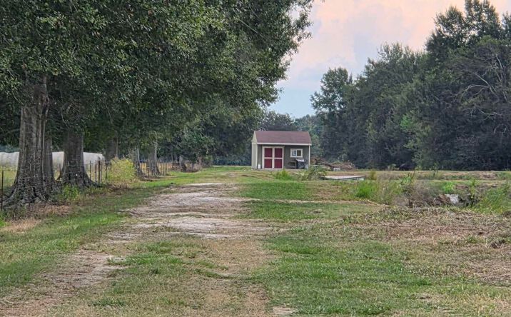 Pictures of Land property located at 302 Lacassine Road, Scott, LA 70583 for sales - image #1