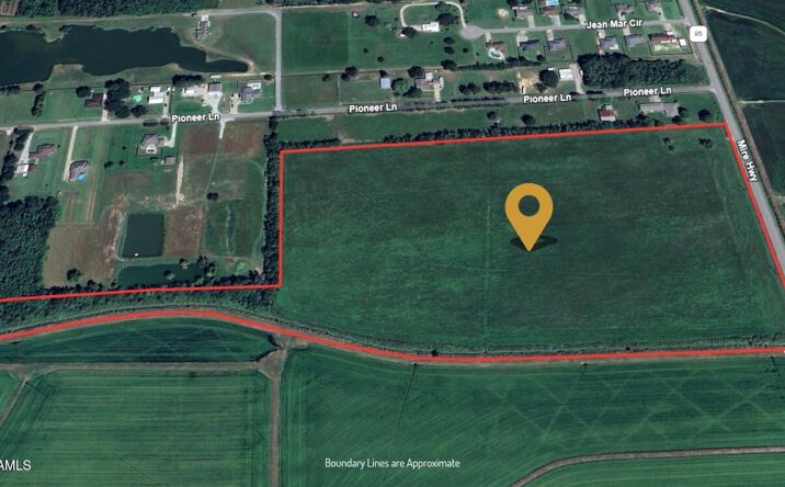 Pictures of Land property located at 3400 Mire Hwy, Rayne, LA 70578 for sales - image #1