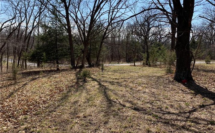 Pictures of Land, Special Purpose property located at Lot 3038 Lake Viking Terrace, Gallatin, MO 64640 for sales - image #1