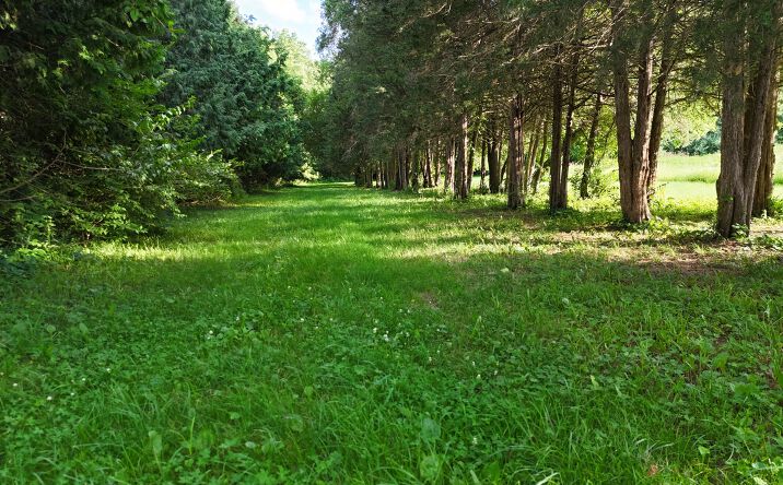 Pictures of Land, Special Purpose property located at 1441 W Fairview Road, Freeport, IL 61032 for sales - image #1