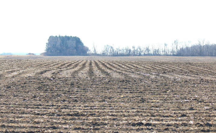 Pictures of Land property located at 3100 N Rd, Beaverville, IL 60912 for sales - image #1