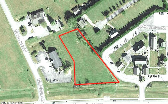 Pictures of Land property located at 8017 E Lamar Alexander Pkwy, Townsend, TN 37882 for sales - image #1