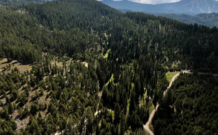 Pictures of Land property located at NHN Bell Trail - Young America Lode, Philipsburg, MT 59858 for sales - image #1