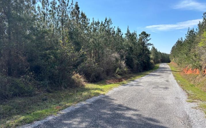 Pictures of Land property located at 000 Cr 415, Quitman, MS 39355 for sales - image #1