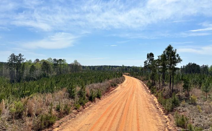 Pictures of Land property located at 00 Cr 421, Quitman, MS 39355 for sales - image #1