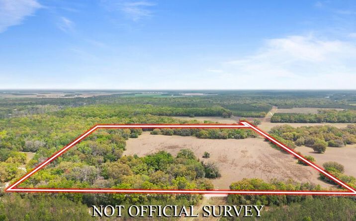 Pictures of Land property located at 464 NE Morning Glory Rd., Mayo, FL 32066 for sales - image #1