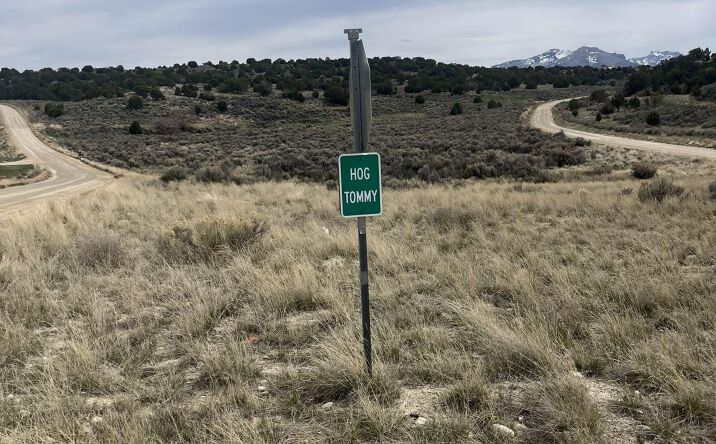 Pictures of Land property located at Lower Lamoille/Hog Tommy Road, Spring Creek, NV 89815 for sales - image #1