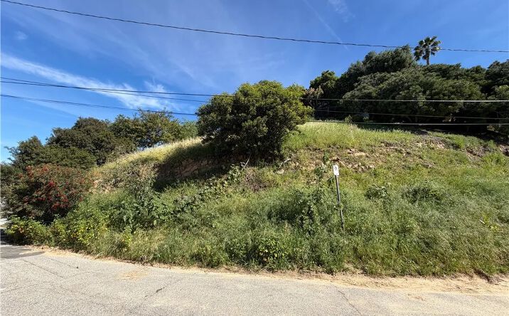 Pictures of Land property located at 2556 El Rosa, Los Angeles, CA 90065 for sales - image #1