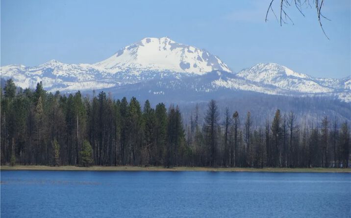Pictures of Land property located at 115 Lake Almanor West, Chester, CA 96020 for sales - image #1