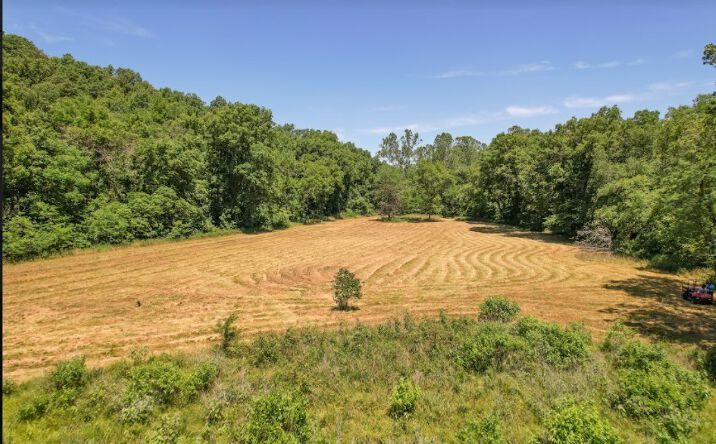 Pictures of Land property located at TBD Sara's Road, Barnett, MO 65011 for sales - image #1