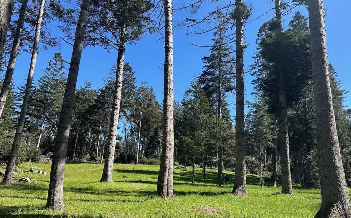 Pictures of Land property located at 26555 Highway 1, Fort Bragg, CA 95437 for sales - image #1