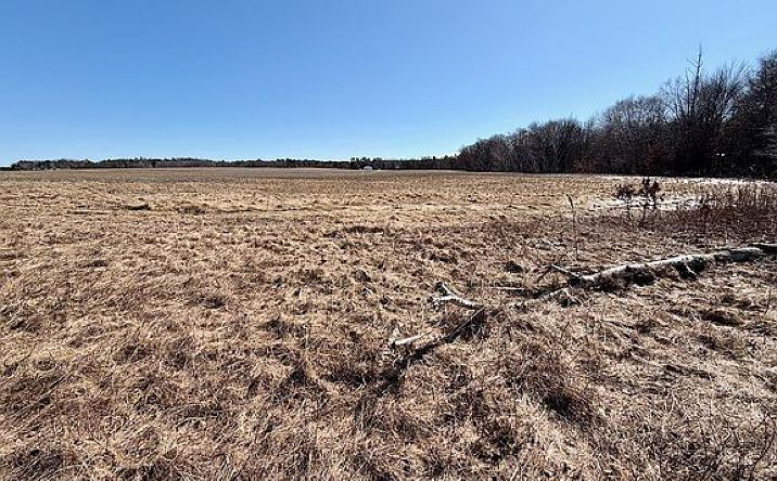 Pictures of Land property located at 000 US Highway 10, Fairchild, WI 54741 for sales - image #1