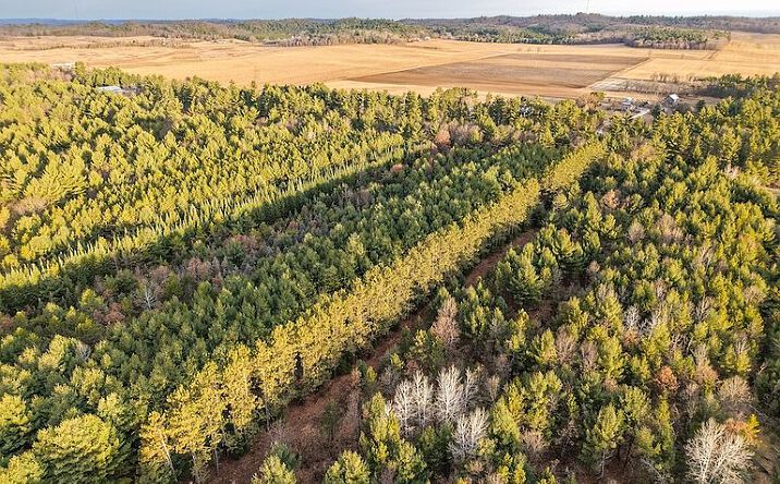 Pictures of Land property located at 5148 County Road S, Sparta, WI 54656 for sales - image #1