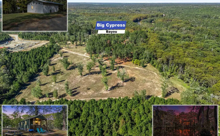 Pictures of Land property located at 1350 Moxley Camp Rd, Karnack, TX 75661 for sales - image #1