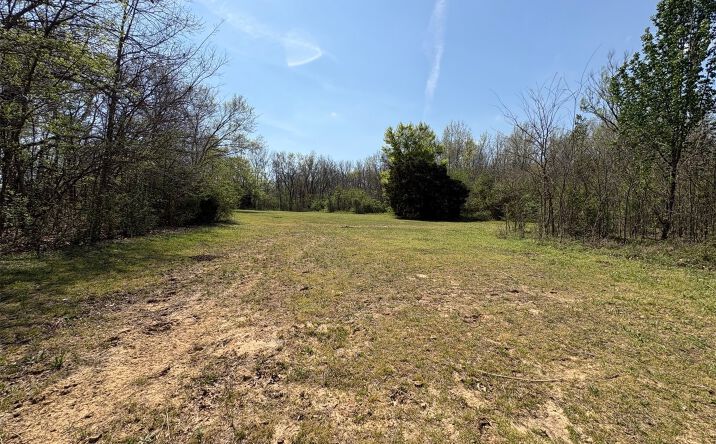 Pictures of Land property located at E 0650 Road, Inola, OK 74036 for sales - image #1
