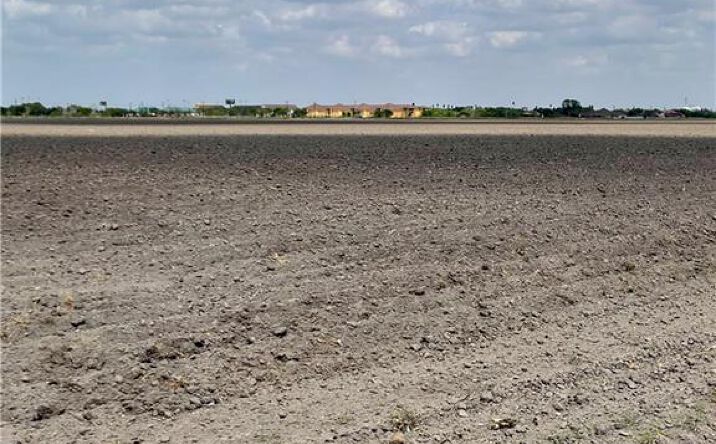 Pictures of Land property located at TBD N Mile 16 Road E, Elsa, TX 78543 for sales - image #1