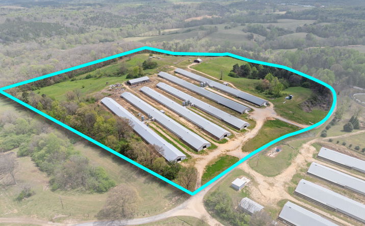 Pictures of Business for Sale, Land property located at 306 Cowbranch Rd, Hackleburg, AL 35564 for sales - image #1