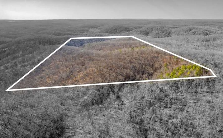 Pictures of Land property located at 0 County Rd. 426, Ellington, MO 63638 for sales - image #1