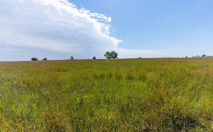 Pictures of Land property located at 0 Morgan Ln, Fair Grove, MO 65648 for sales - image #1