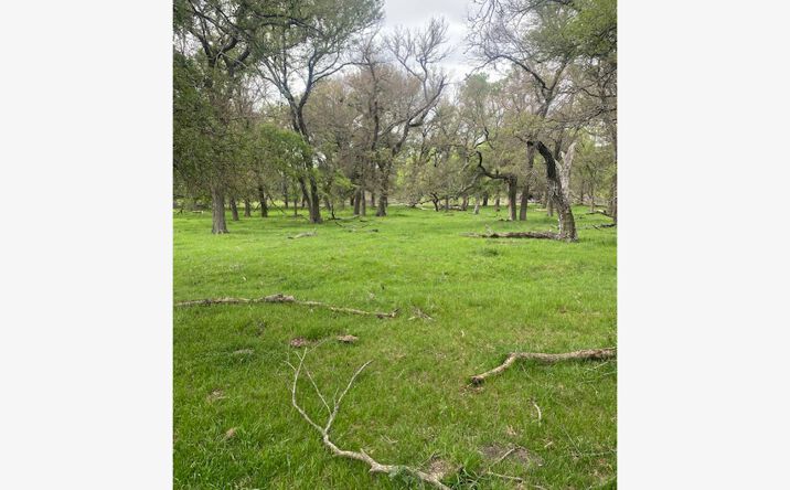 Pictures of Land property located at 430 Co Rd 152, Riesel, TX 76682 for sales - image #1