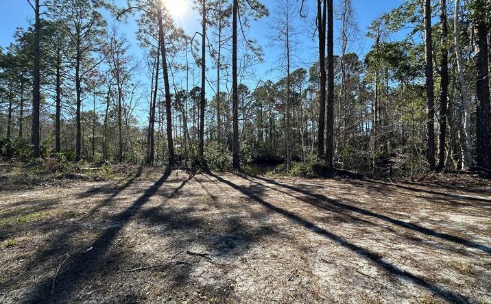Pictures of Land property located at SE 851st Ave, Suwannee, FL 32692 for sales - image #1