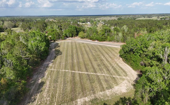 Pictures of Land property located at Tract 4 - 0 Spring Branch Road, Baxley, GA 31513 for sales - image #1