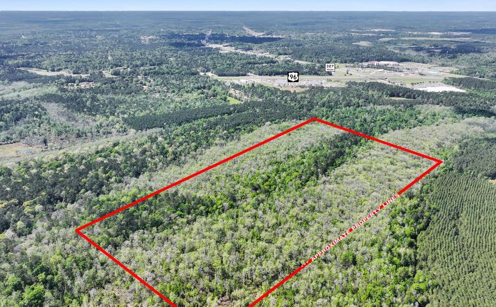 Pictures of Land property located at 2000 Block Gentry Road, Silsbee, TX 77656 for sales - image #1
