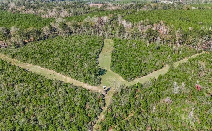 Pictures of Land property located at Hampton Road, 69975, MS 39645 for sales - image #1