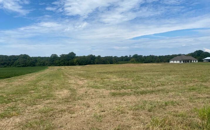 Pictures of Land property located at Leesburg Road, 70465, MS 39145 for sales - image #1