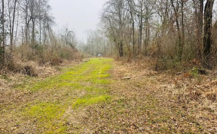 Pictures of Land property located at Sidney Ellzey Road, 71112, MS 39667 for sales - image #1