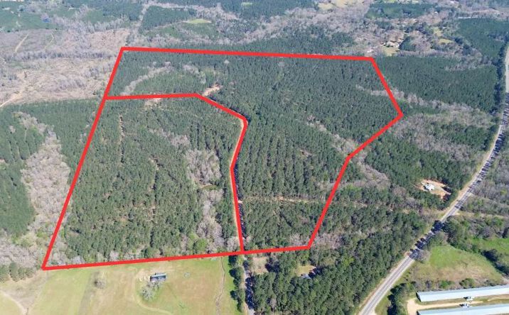 Pictures of Land property located at Anderson Road, 49864, LA 71270 for sales - image #1
