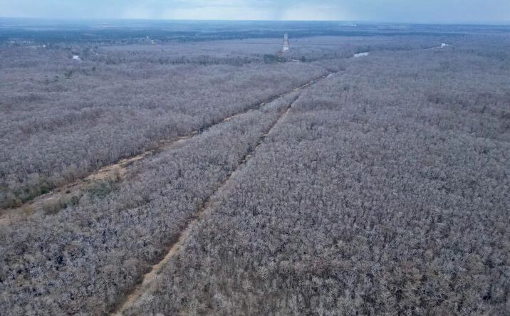 Pictures of Land property located at Booth Road, 50927, LA 70611 for sales - image #1